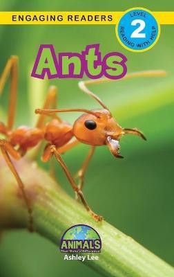 Ants(English, Hardcover, Lee Ashley)