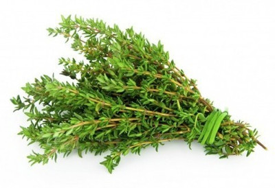 Paudha Thyme Seed(45 per packet)