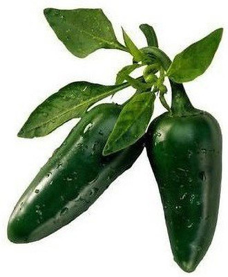 VibeX Chili Seed(200 per packet)