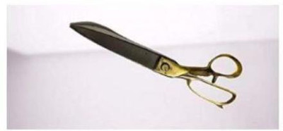 SBTs VIC-119 Hard Funner Steel Scissors With Brass Handle-11 inch 4E22 Scissors(Set of 1, Multicolor)