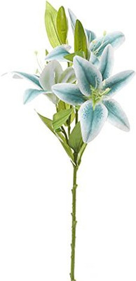 Satyam Kraft 3 Head Lily Artificial Flowers Sticks for Home Decoration and Craft (Blue, Pack of 1). Blue Lily Artificial Flower(22 inch, Pack of 1) Flipkart