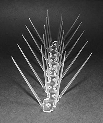 SIDDHI Bird Spike