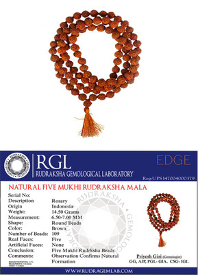 SHIVOHAM Original Lab Certified Rudraksha mala Dori Chain