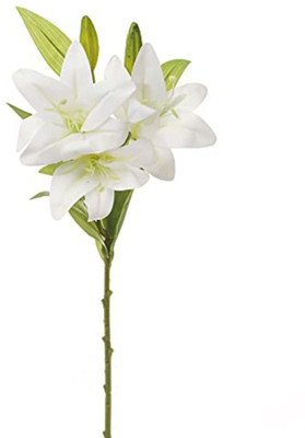 Satyam Kraft 3 Head Lily Artificial Flowers Sticks for Home Decoration and Craft (White, Pack of 1). White Lily Artificial Flower(22 inch, Pack of 1) Flipkart