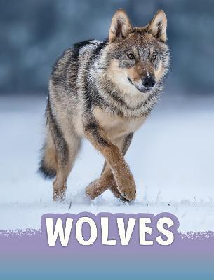 Wolves(English, Paperback, Schuh Mari)