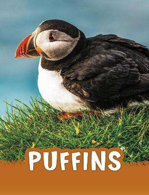 Puffins(English, Paperback, Jaycox Jaclyn)