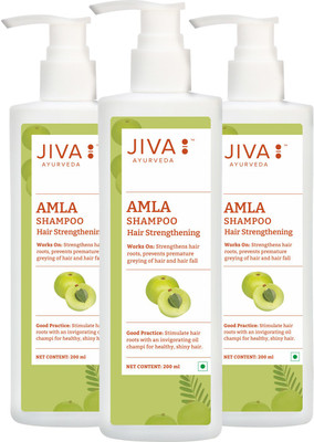 JIVA AYURVEDA Amla Shampoo - Ayurvedic Shampoo For Preventing Hairfall & Breakage - 200 ml - Pack of 3(200 ml)