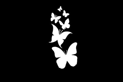 AVSARACHNA Sticker & Decal for Car(White)