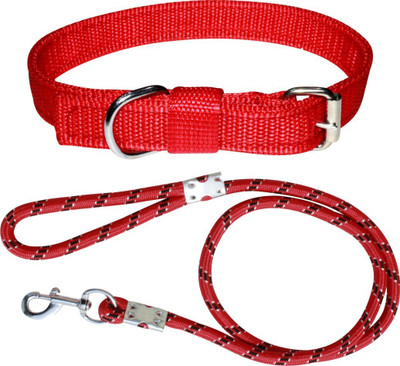 PEDIGONE Dog Belt Combo of Red Dog Collar with Red Lead Specially for Small Breeds Dog Collar & Leash(Small, Red 1)