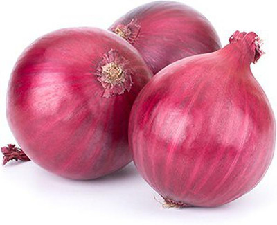 Mozette Red Onion Plant Seed(47 per packet)