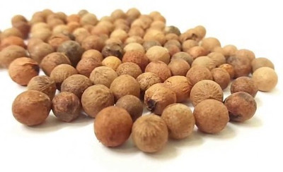 Sjeme White Saunder / White Chandan Seed Seed(90 per packet)