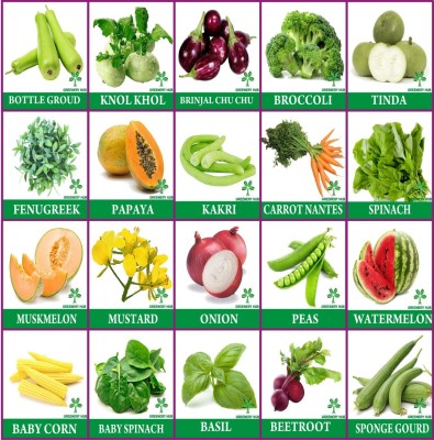 Greenery Hub Vegetable Seeds Bank Home Garden Pack 20 Varieties Seed(20 per packet)