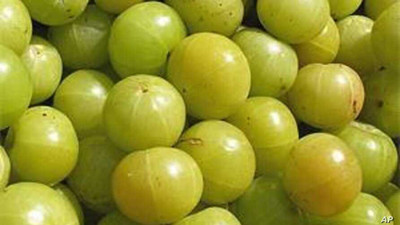 Sjeme Amla Seed Seed(35 per packet)