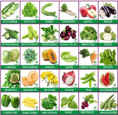 Greenery Hub Vegetable Seeds Combo 35 Varieties Combo Pack High Germination Seeds Seed(35 per packet)
