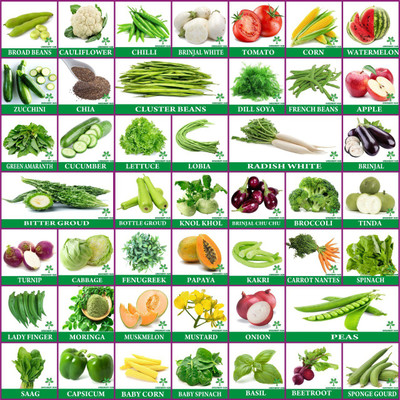 Greenery Hub 45 Varieties Vegetables Seeds Combo Seed(45 per packet)