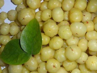 Sjeme Indian Gooseberry Seed Seed(20 per packet)