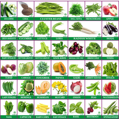 Greenery Hub 40 Variety Vegetable Seeds Combo High Germination Seed(45 per packet)