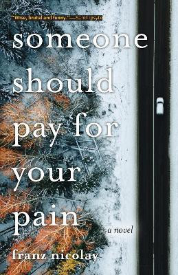 Someone Should Pay for Your Pain(English, Paperback, Nicolay Franz)