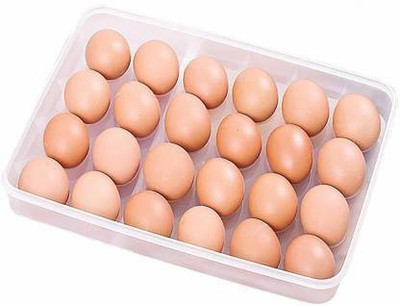 KRISHZONE Plastic Egg Container  - 2 dozen(Multicolor)
