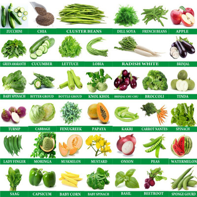Greenery Hub Vegetable Seeds Packet 40 Varieties, Seeds Combo Pack Seed(40 per packet)