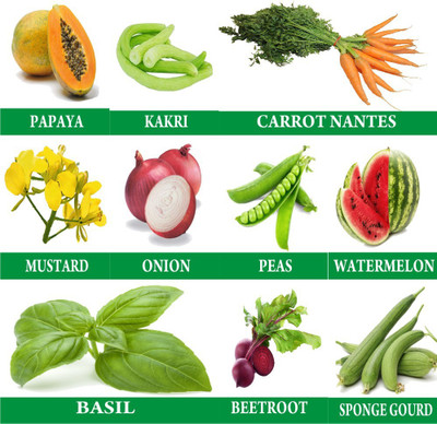 Greenery Hub 10 Varieties Kitchen Garden Vegetables Seeds For Growing, Combo Pack Seed(10 per packet)