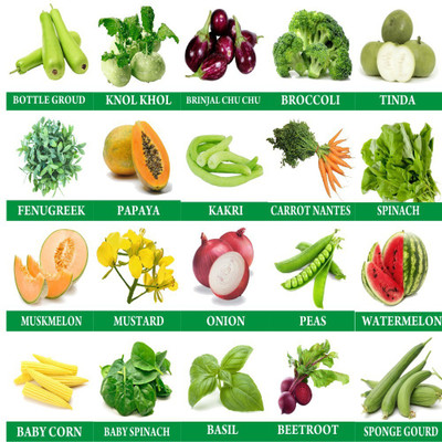 Greenery Hub Vegetables Seeds Combo 20 Varieties Home Garden Pack Seed(20 per packet)
