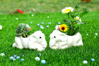 Jimkia Ceramic Planter Pot Chota White Hathi Shape for Home Decor Plant Not Included Plant Container Set(Pack of 2, Ceramic)