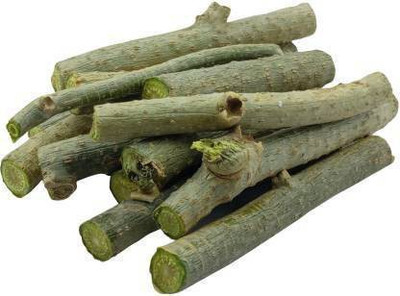 Green India Neem Tree Giloye/Giloy Stems, Giloye, Giloy Seed(20 per packet)