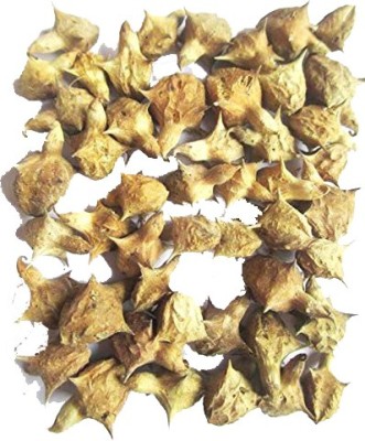 Urancia Gokhru Seed(1 per packet)