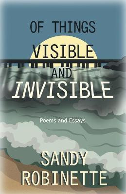 Of Things Visible and Invisible(English, Paperback, Robinette Sandy)