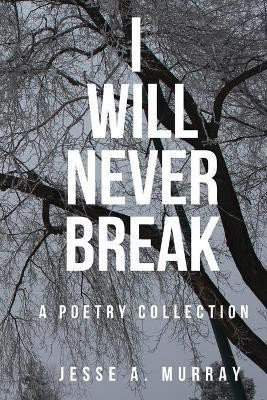 I Will Never Break(English, Paperback, Murray Jesse a)