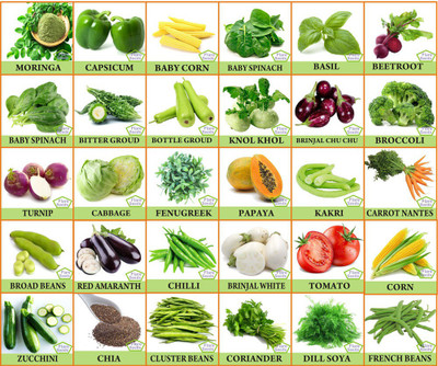 FLARE SEEDS 30 Varities Of Vegetable Seeds Seed(100 per packet)