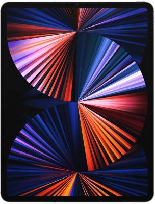 APPLE iPad Pro (2018) 256 GB ROM 11 inch with Wi-Fi Only (Space Grey)