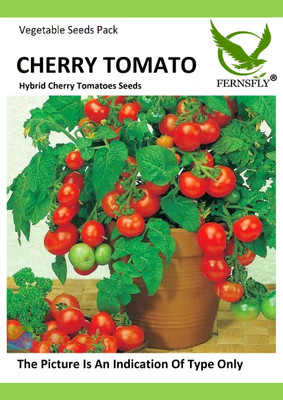 FERNSFLY Cherry Tomato Seed(40 per packet)