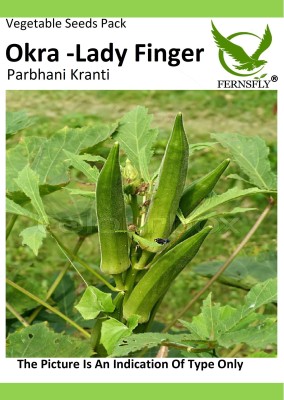 FERNSFLY Vegetables Seeds Okra / lady finger Seed(15 per packet)