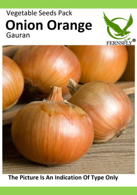 FERNSFLY Onion Orange Pyaj Seed(80 per packet)