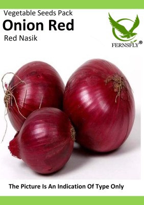 FERNSFLY Vegetable Seeds, Garden Onion Red, Pyaj Home Kitchen Garden Pack Gardening, Planting Seed(10 per packet)
