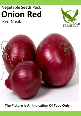 FERNSFLY Vegetable Seeds Garden Onion Red Pyaj Vegetable Seeds Home Kitchen Garden Pack Gardening Planting Seed(60 per packet)