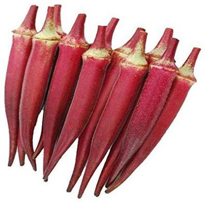 Qualtivate okra Seed(100 per packet)