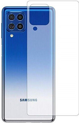 HOBBYTRONICS Back Screen Guard for Samsung F62(Pack of 1)