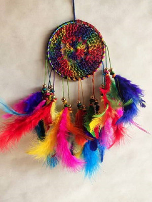 Tejash enterprises Feather Dream Catcher(8 inch, Multicolor)