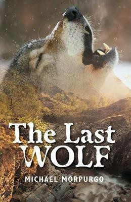 Rollercoasters The Last Wolf(English, Paperback, Morpurgo Michael)
