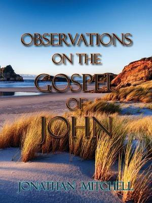 Observations on the Gospel of John(English, Paperback, Mitchell Jonathan Paul)