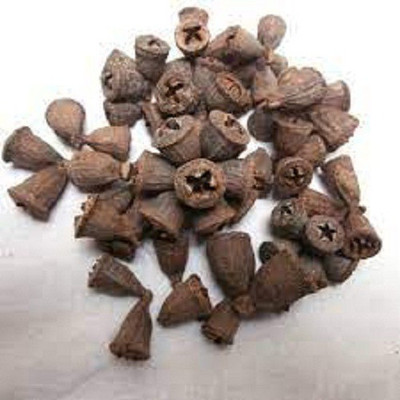 Sjeme Organic Eucalyptus Flower Seed Seed(10 per packet)