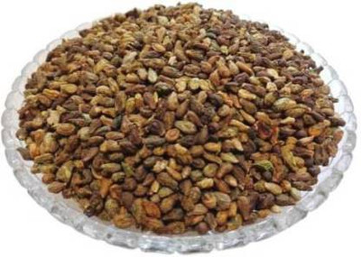 gelunix SHIVLING BEEJ Seed(100 per packet)