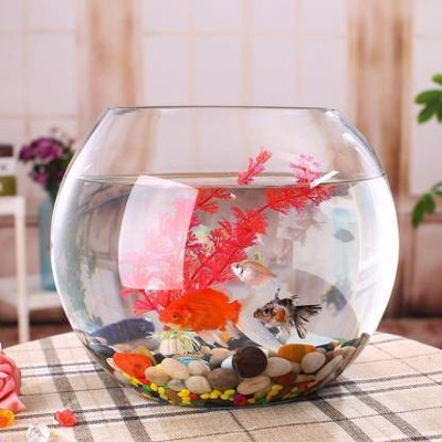 SAVORADE 4 L Fish Bowl