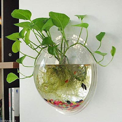 SEETASTIC 3 L Fish Bowl