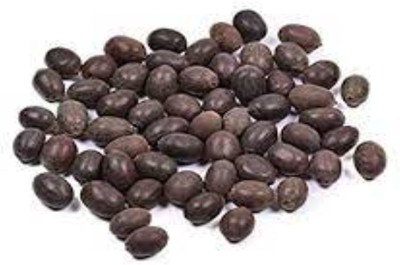 Jevik KAMALGATTA Seed(10 per packet)