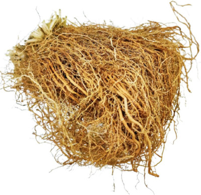 Epoojacart Khas Khas Grass Seed(1 per packet)