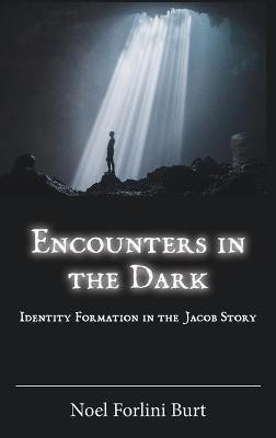 Encounters in the Dark(English, Hardcover, Forlini Burt Noel)